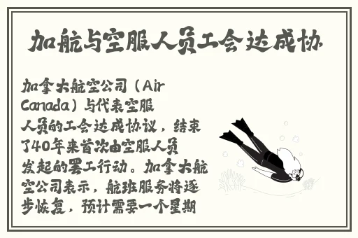 我是舒畅我回来了免费播放